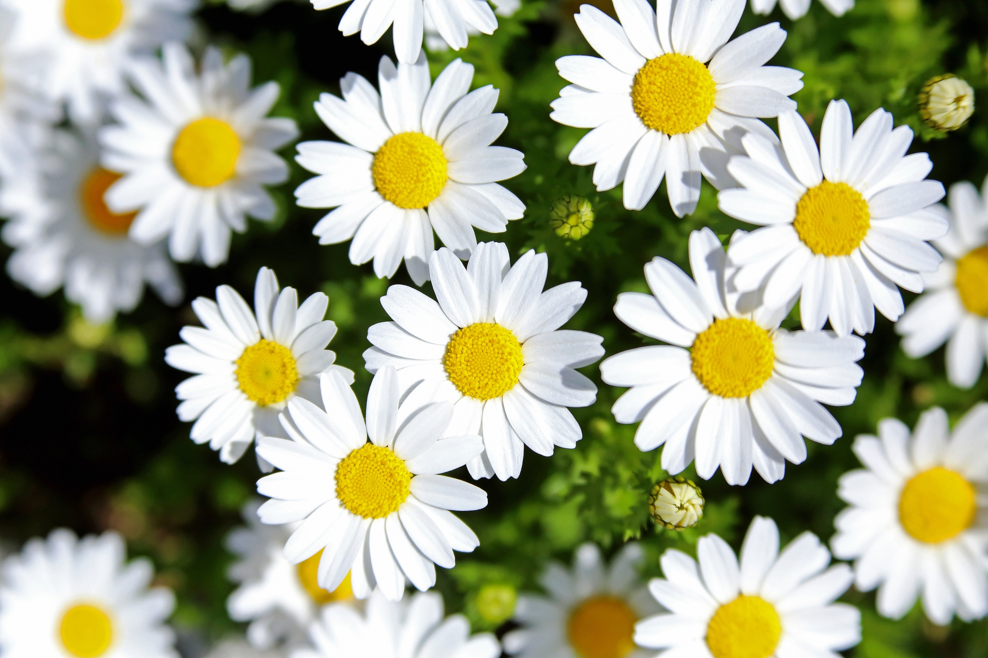 【首、肩、肩甲骨の痛み】 50代女性 介護職