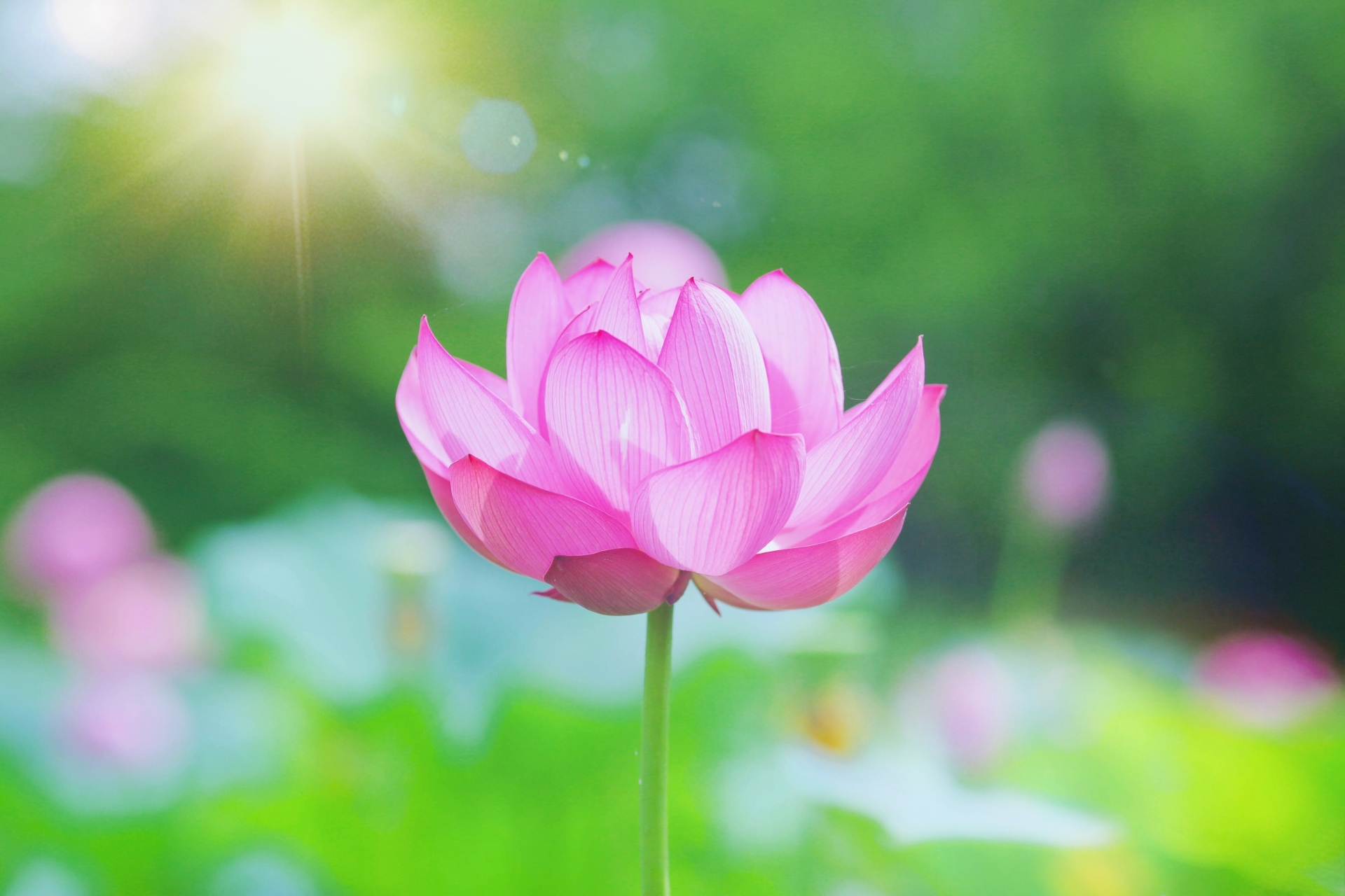 【ヘルペス】30代女性　会社員